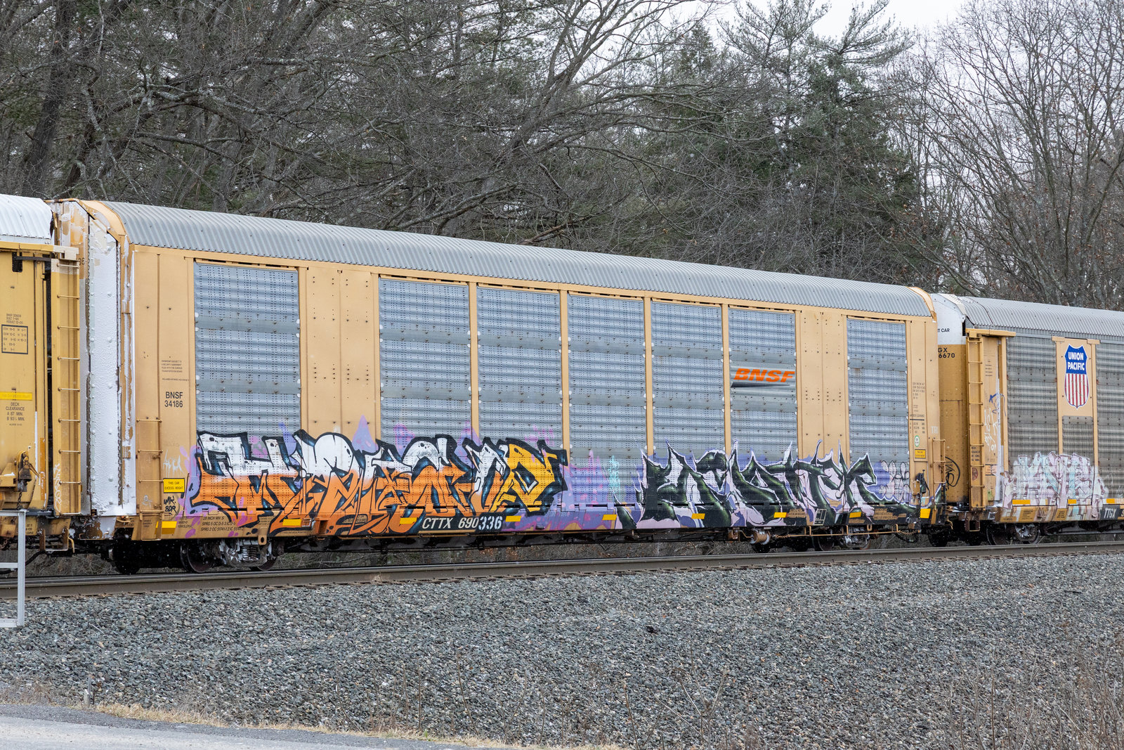 CTTX 690336