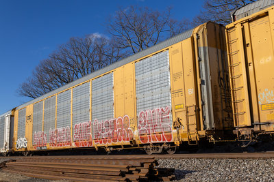 CTTX 694592