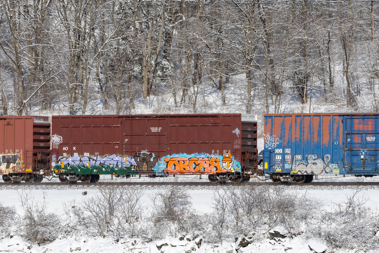 AOK 115183