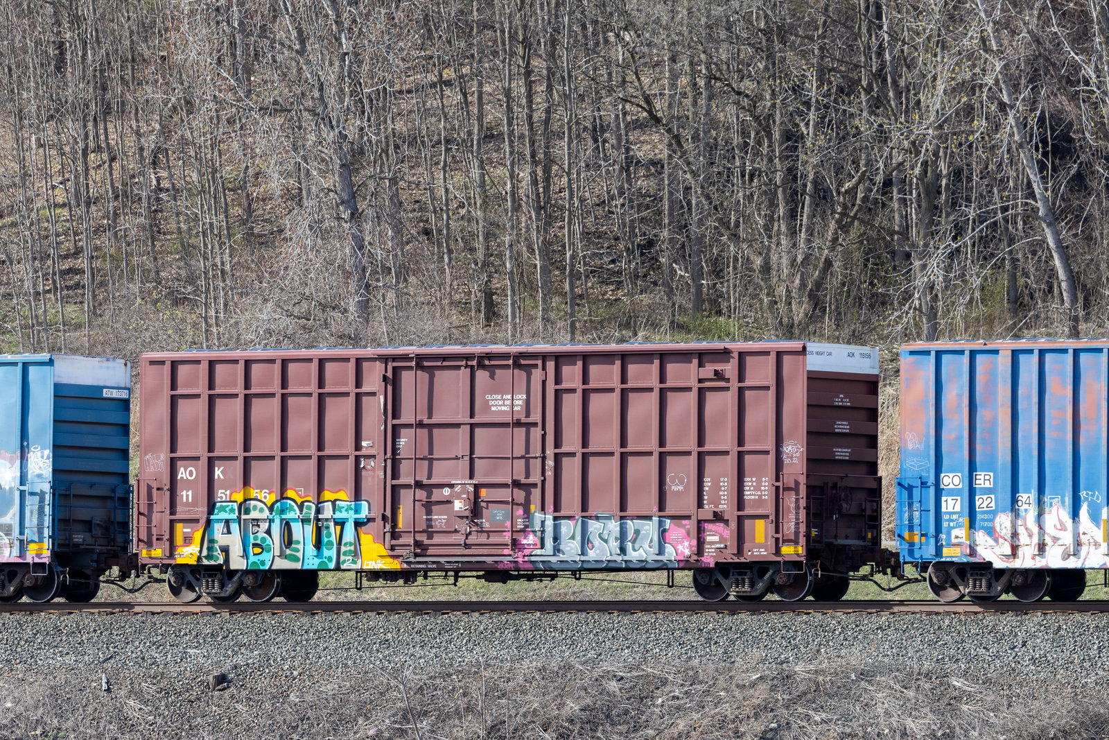AOK 115156