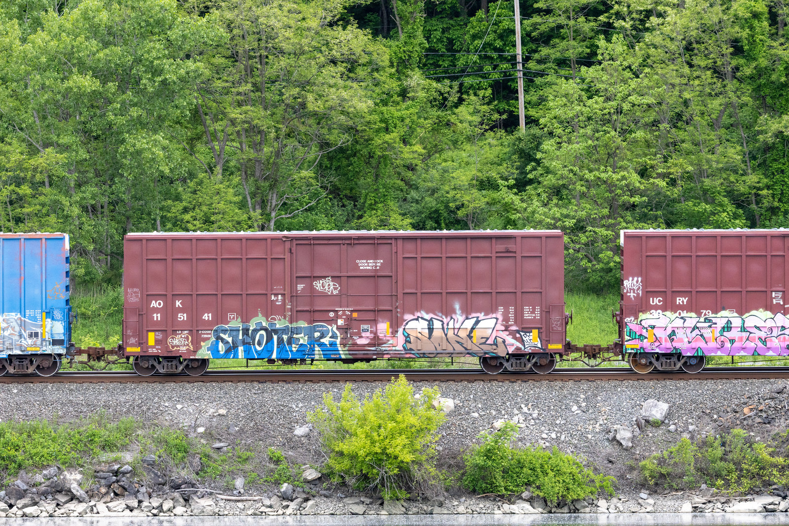 AOK 115141