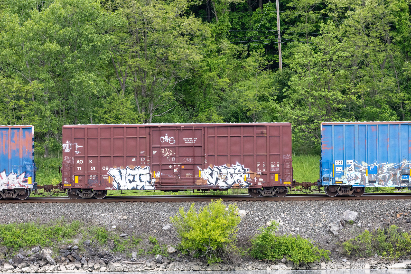 AOK 115109