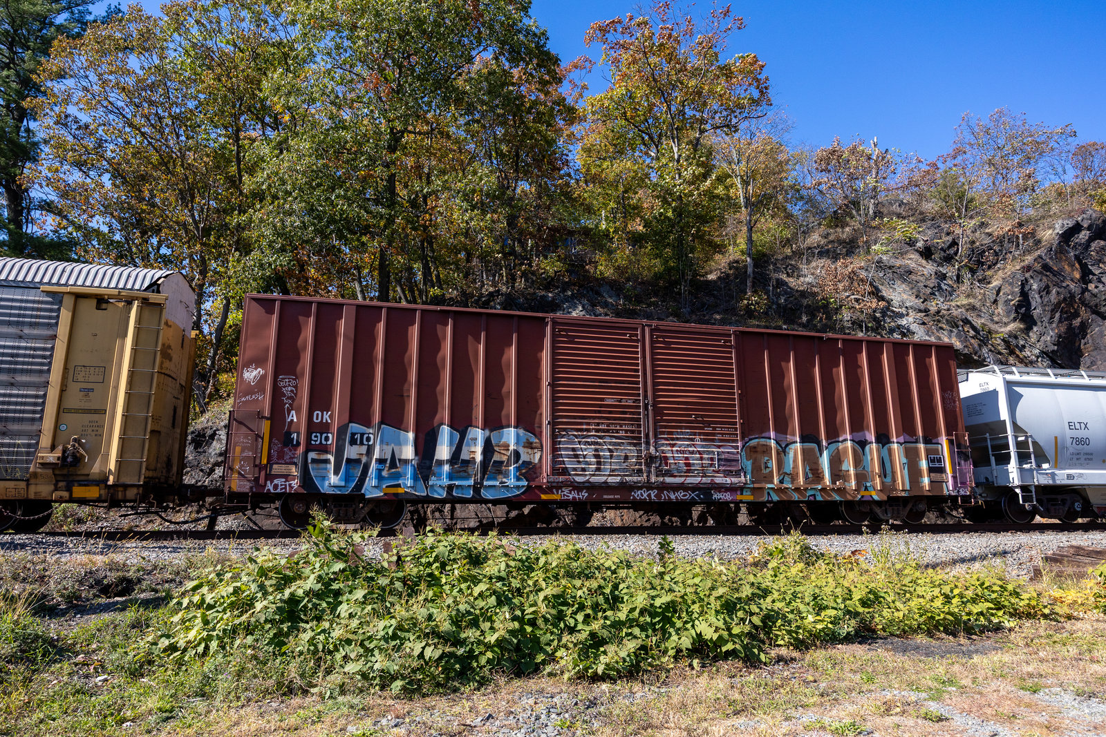 AOK 19010