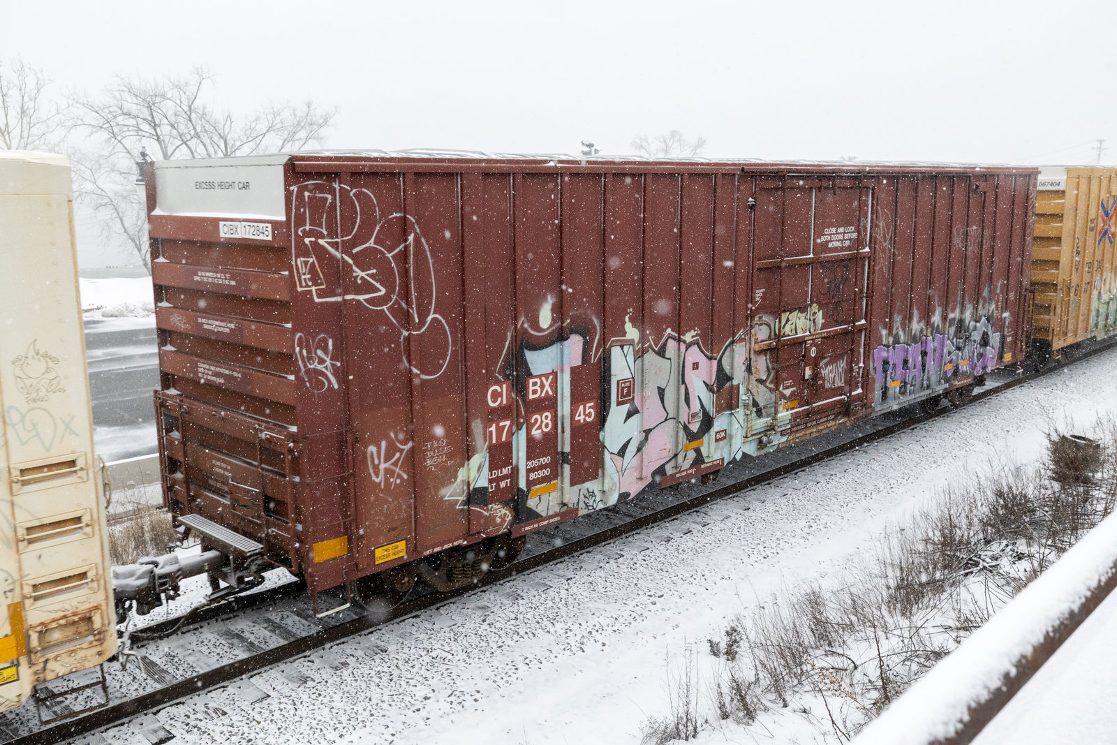 CIBX 172845