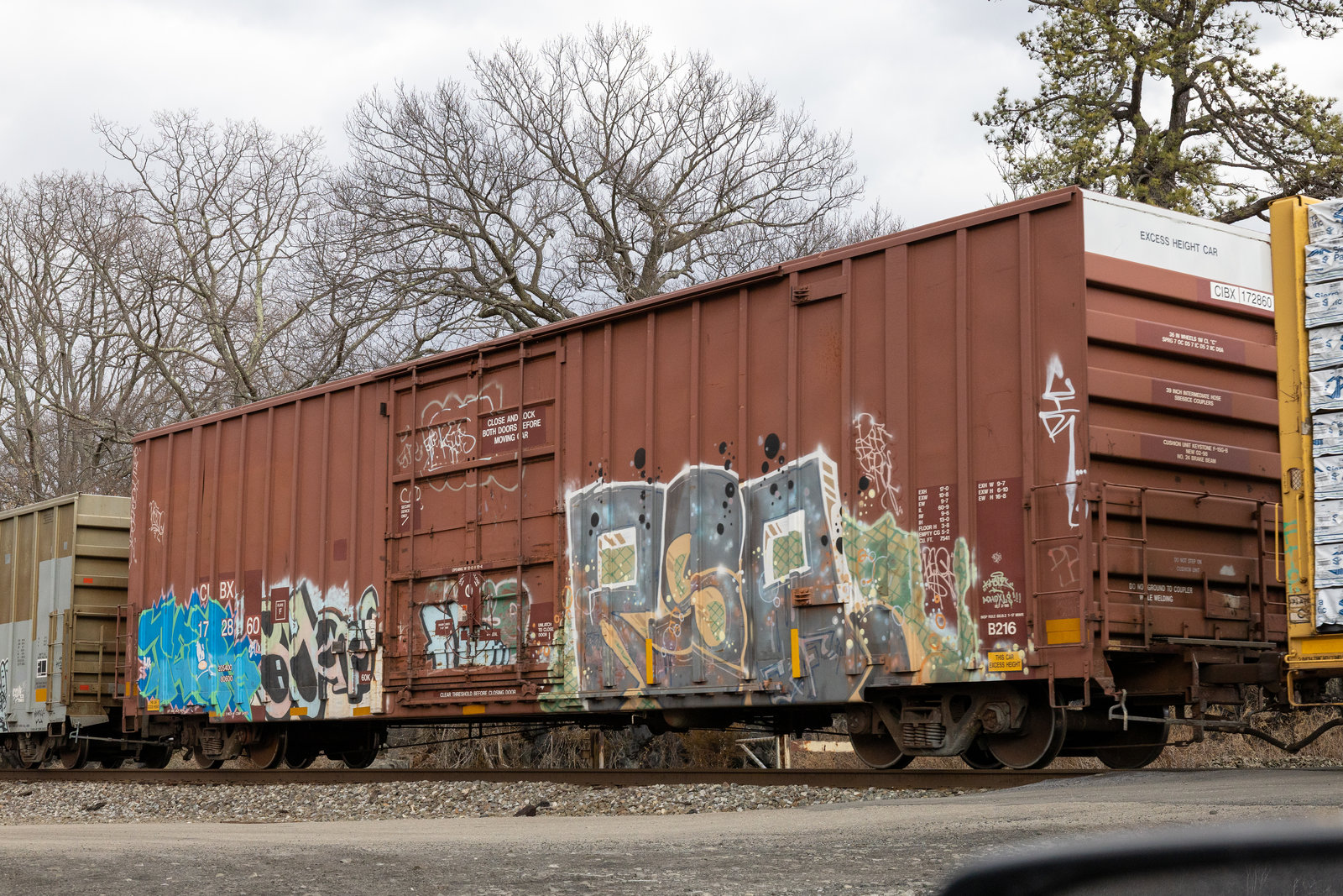 CIBX 172860