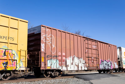 CIBX 172859