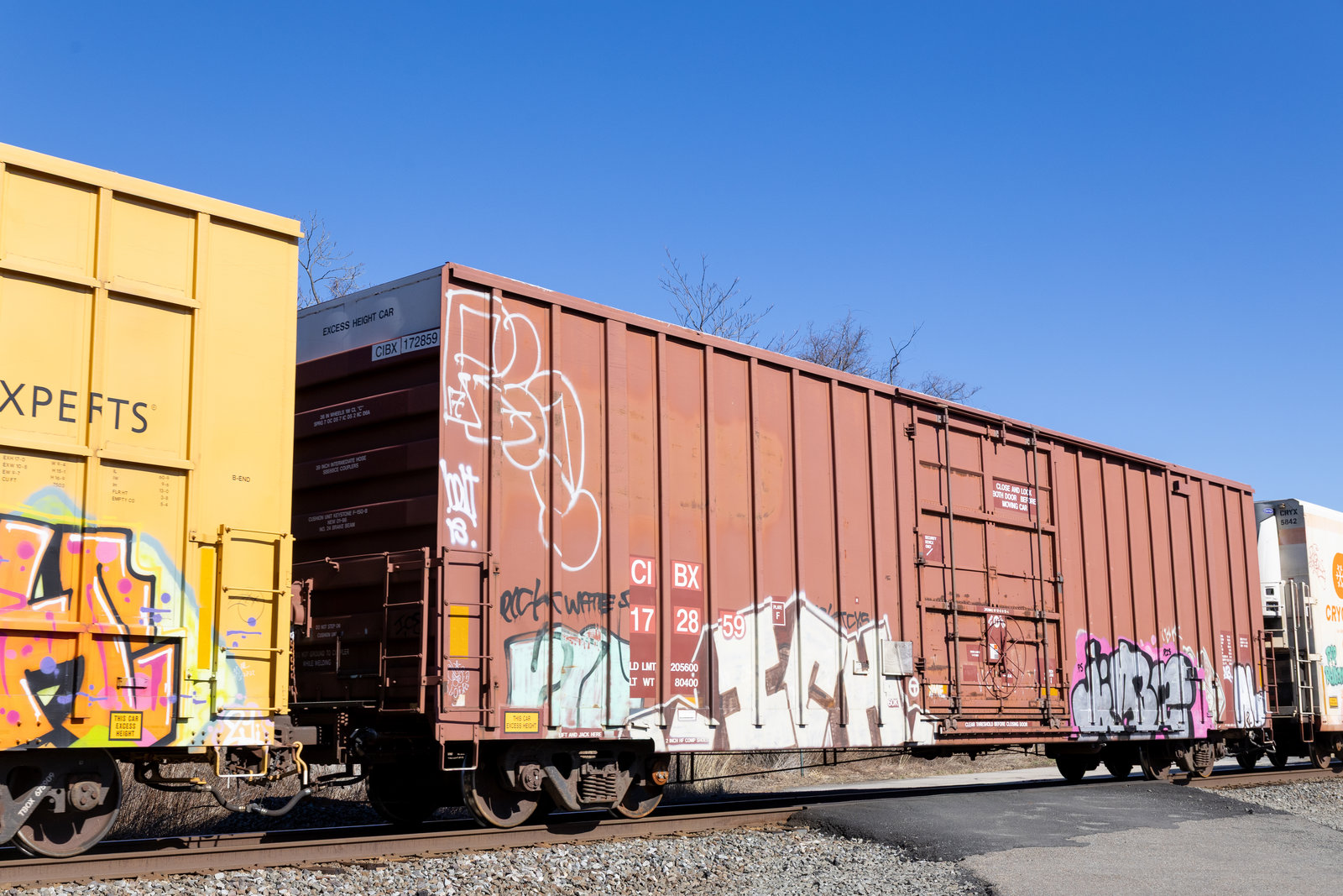 CIBX 172859