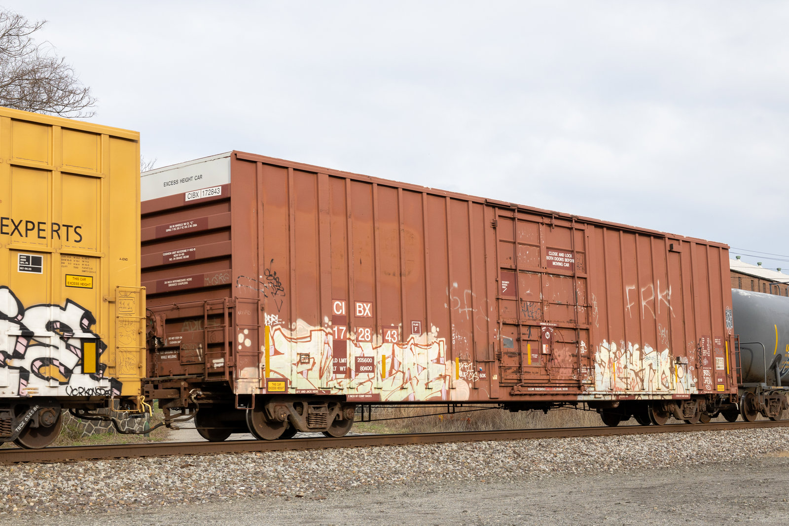 CIBX 172843