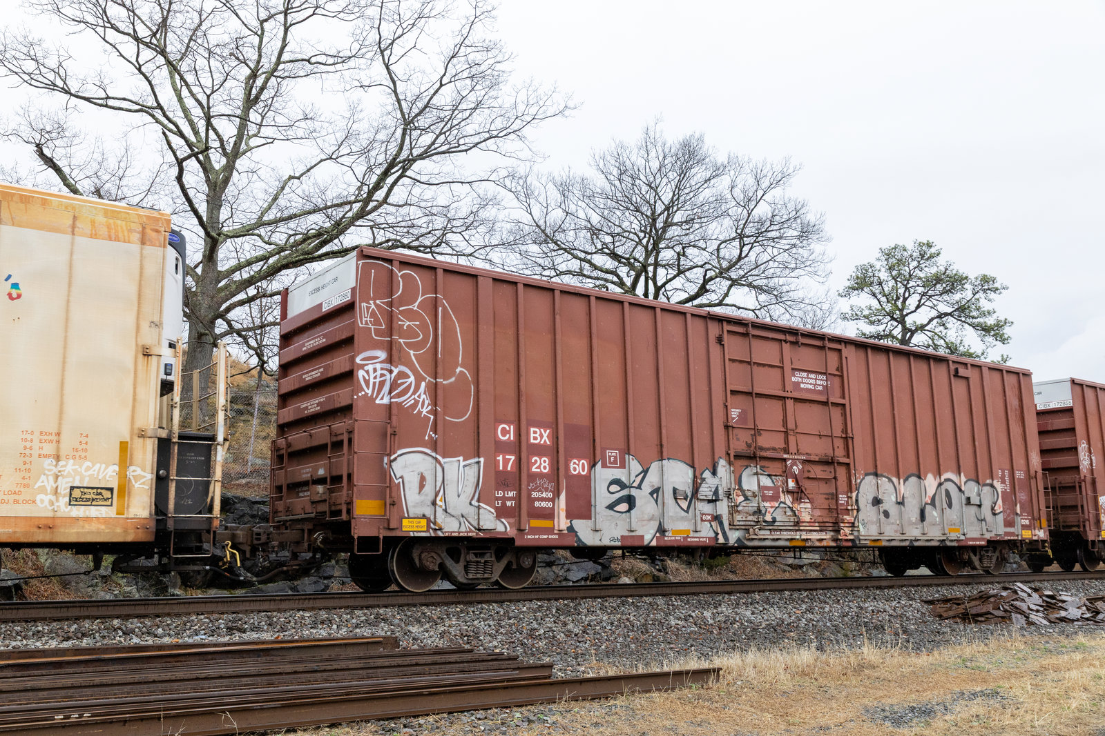 CIBX 172860