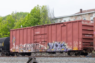 CIBX 172151