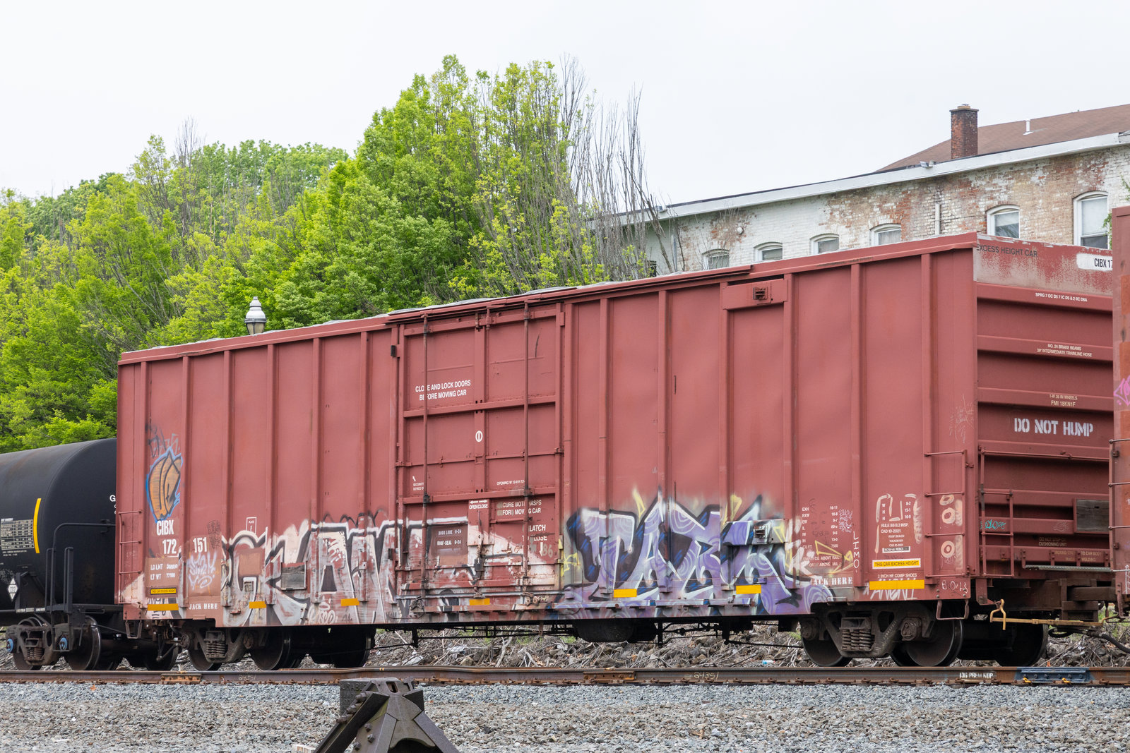CIBX 172151