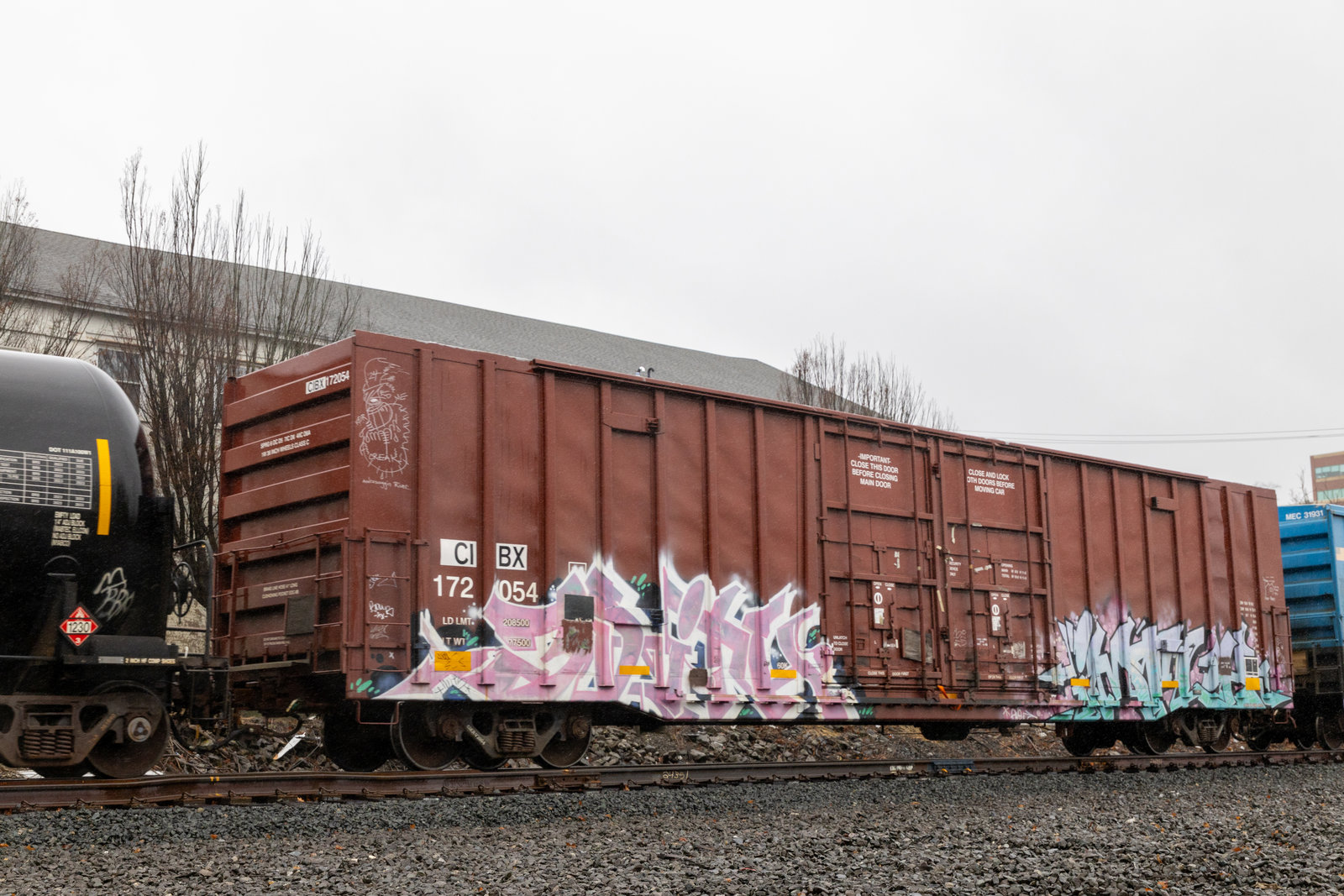 CIBX 172054