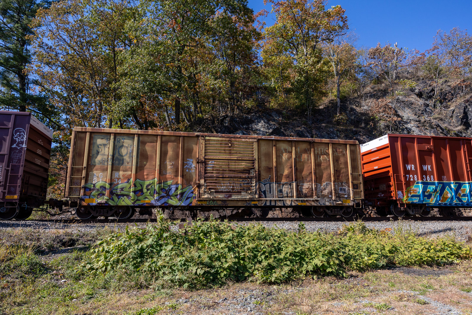 AGR 6134