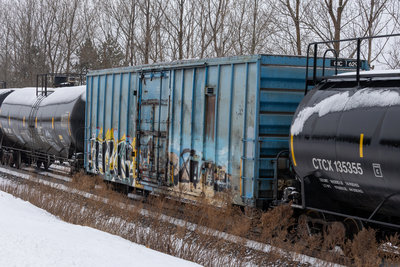 CIC 6291