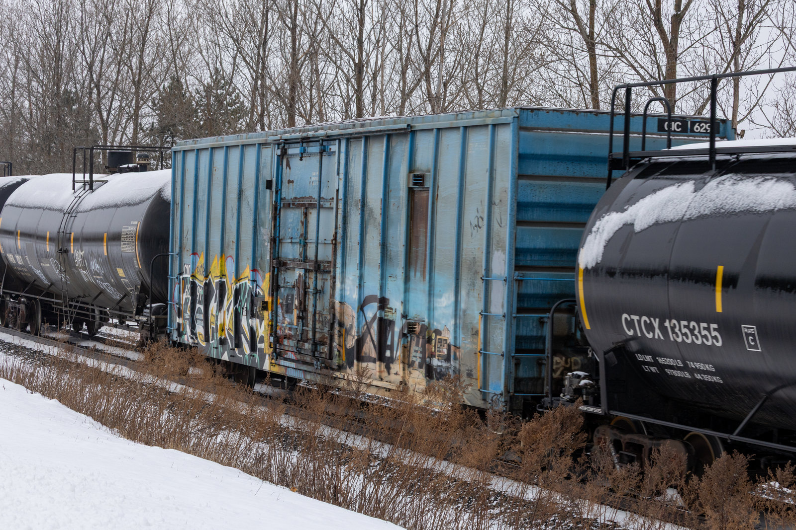 CIC 6291
