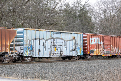 CIC 6251