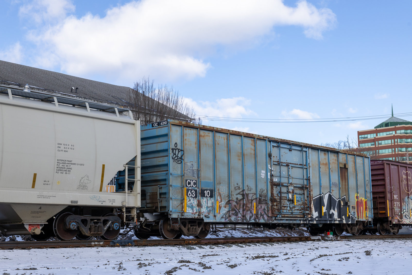 CIC 6310