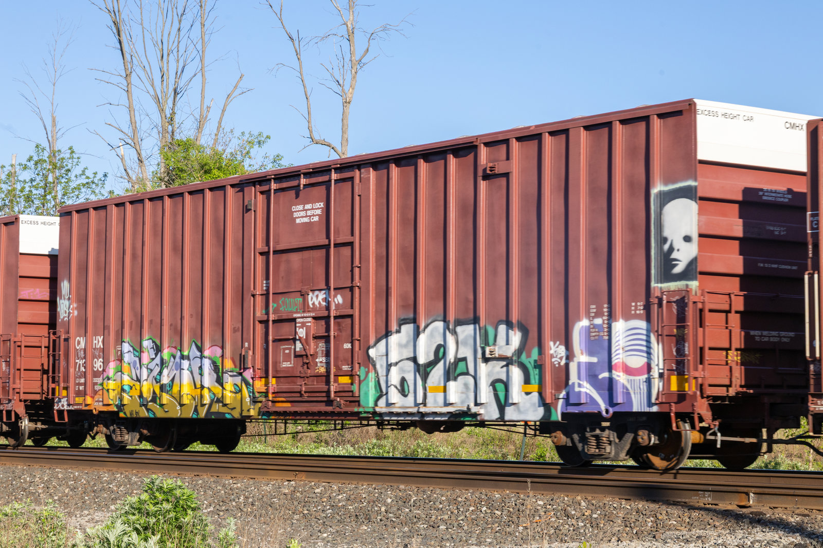 CMHX 71396
