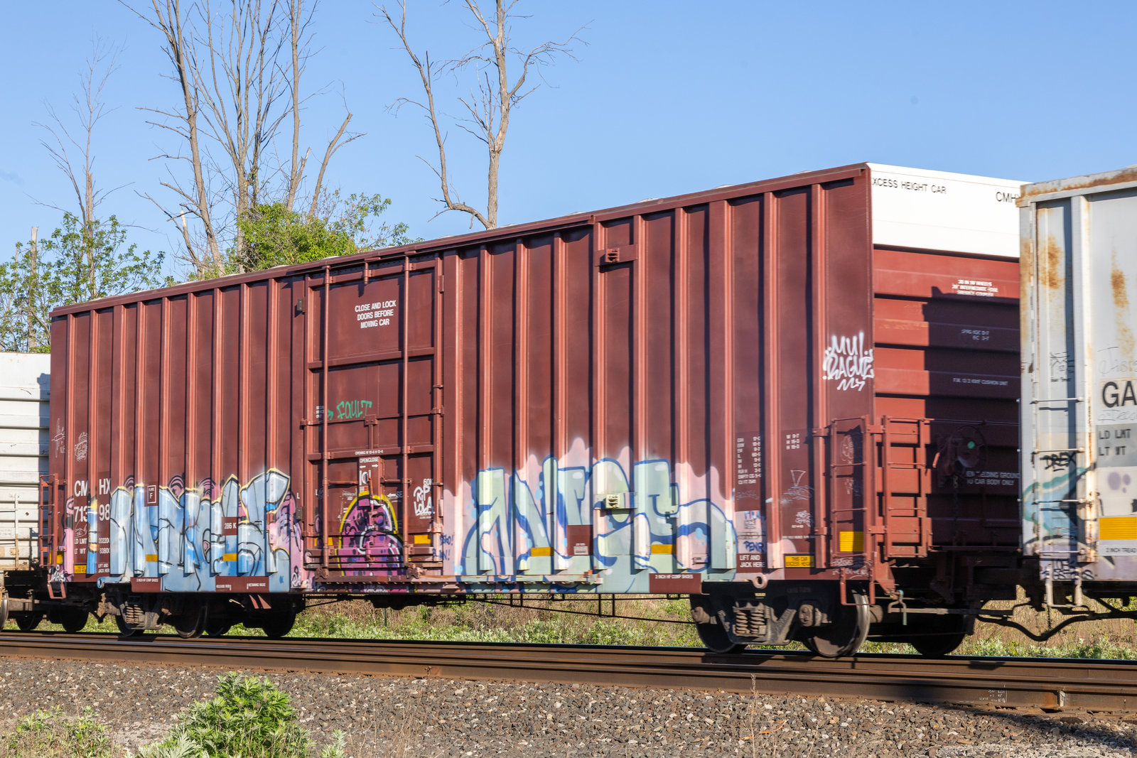 CMHX 71398