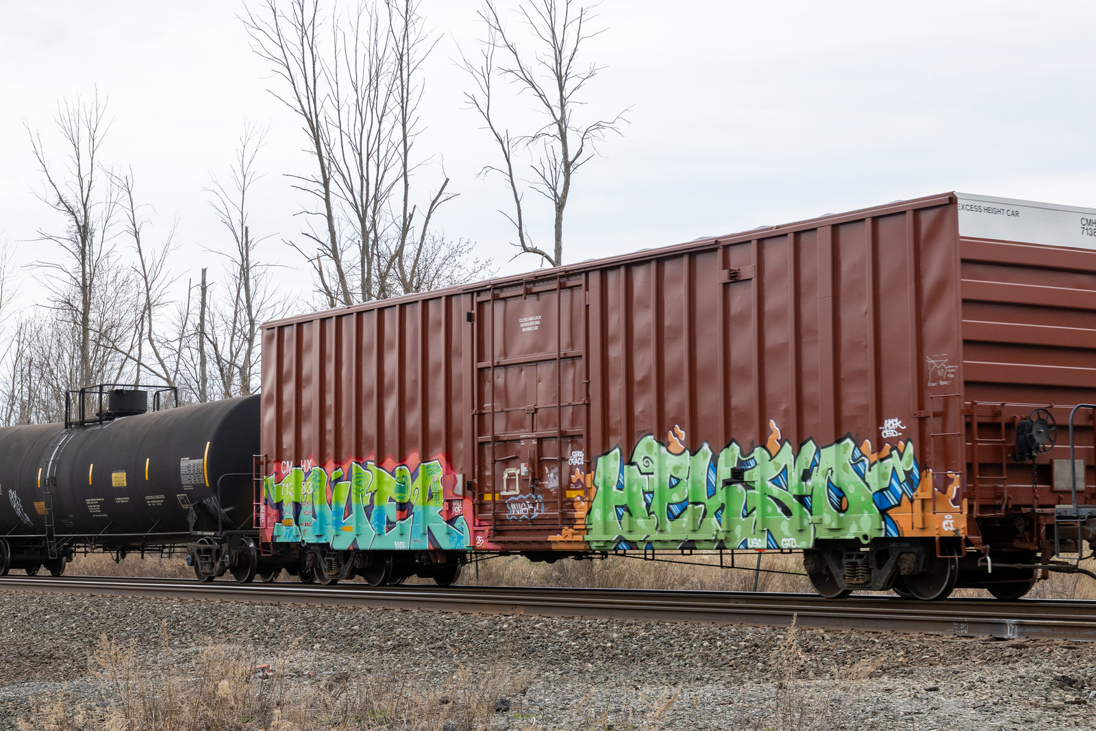 CMHX 71383