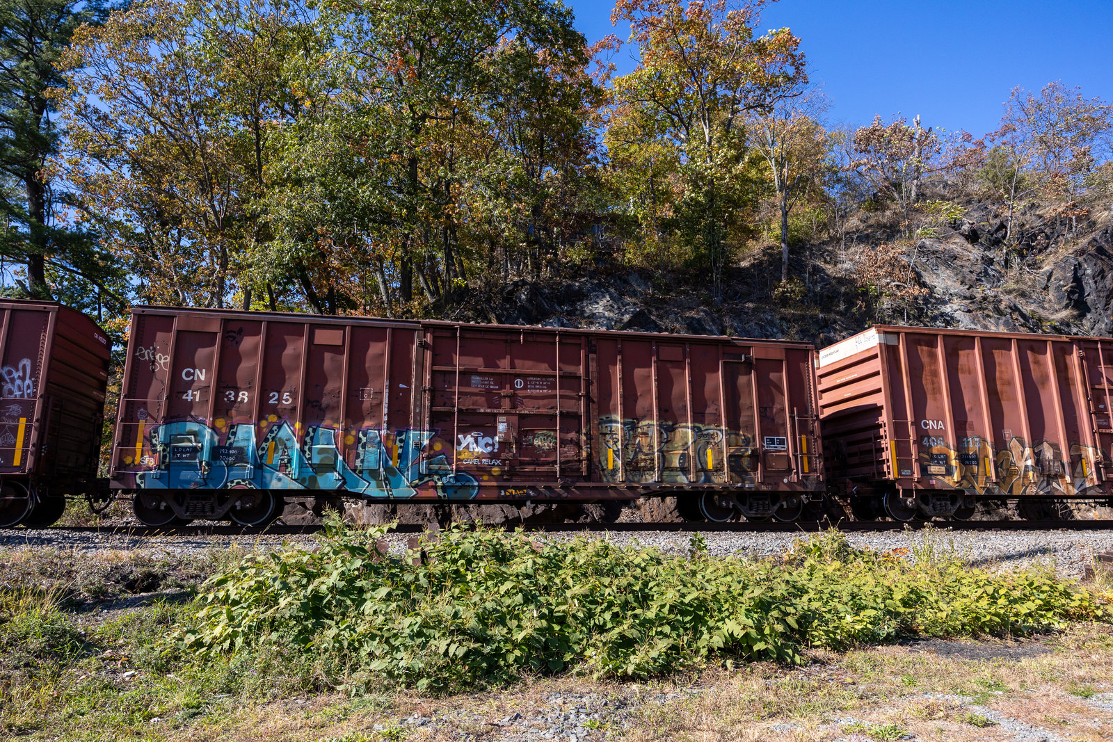 CN 413825