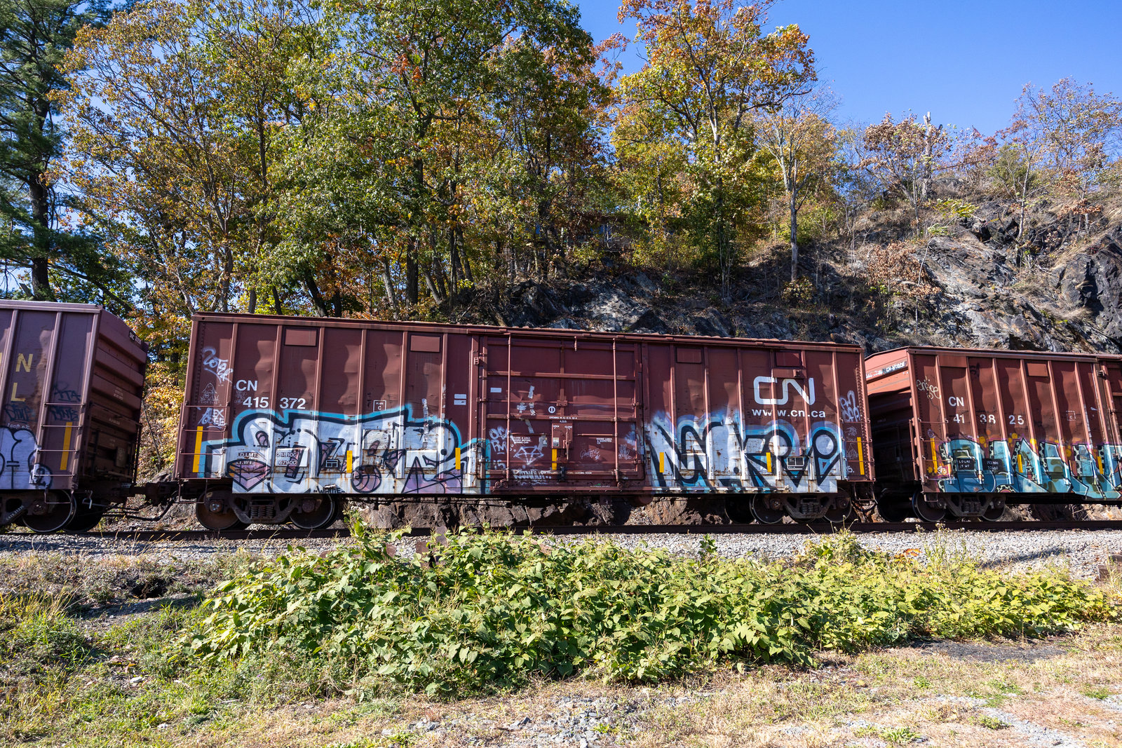 CN 415372