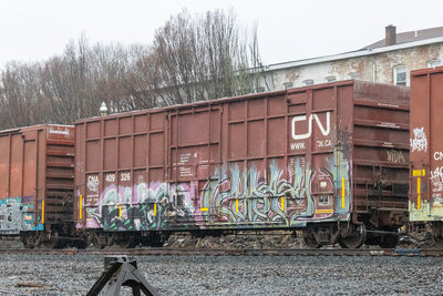 CNA 409326