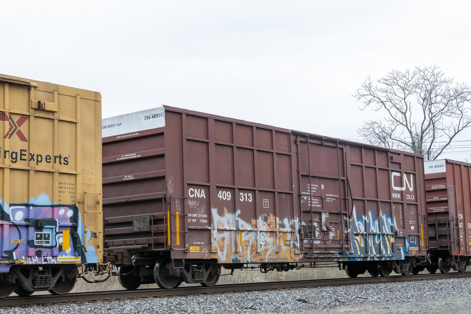 CNA 409313