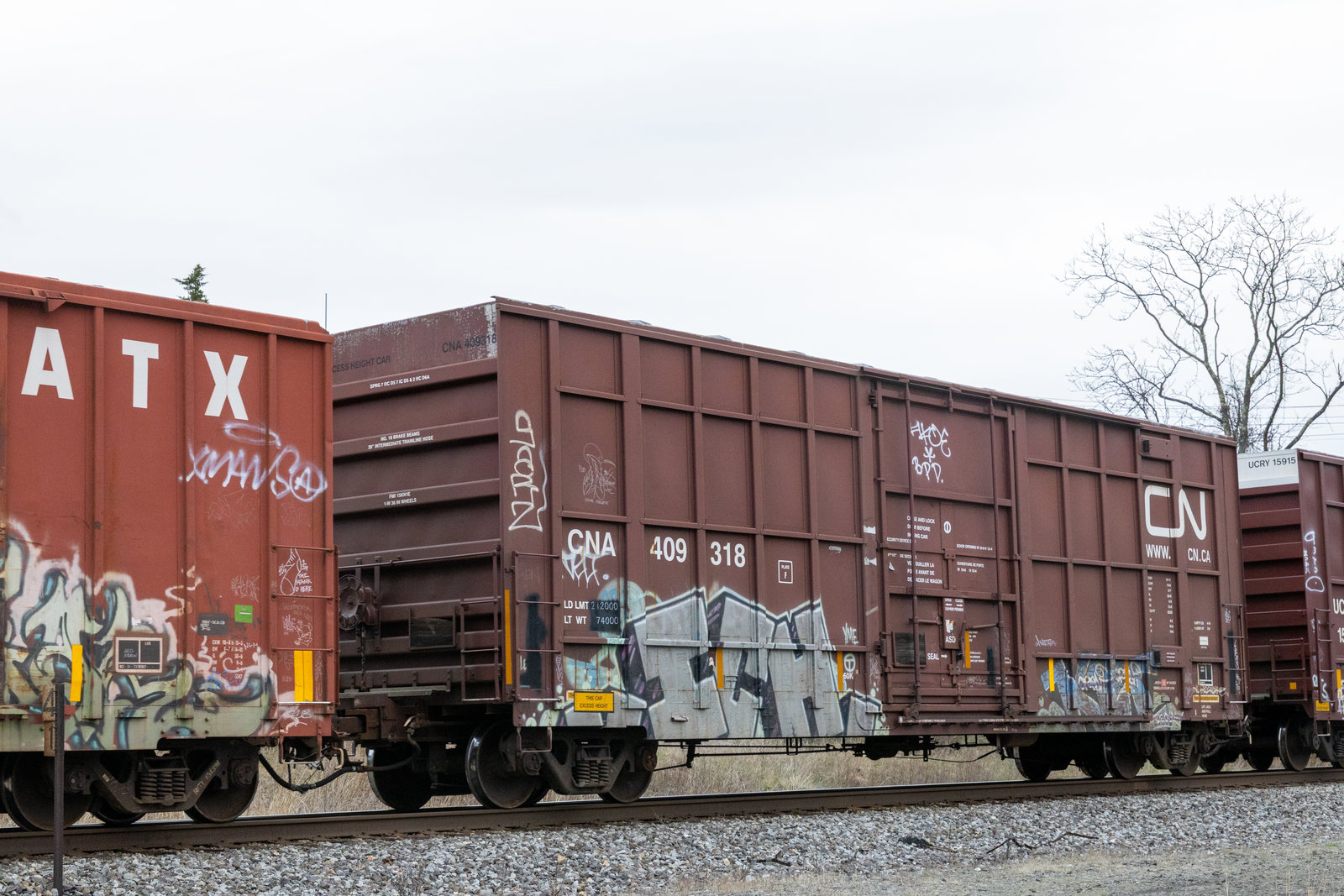 CNA 409318