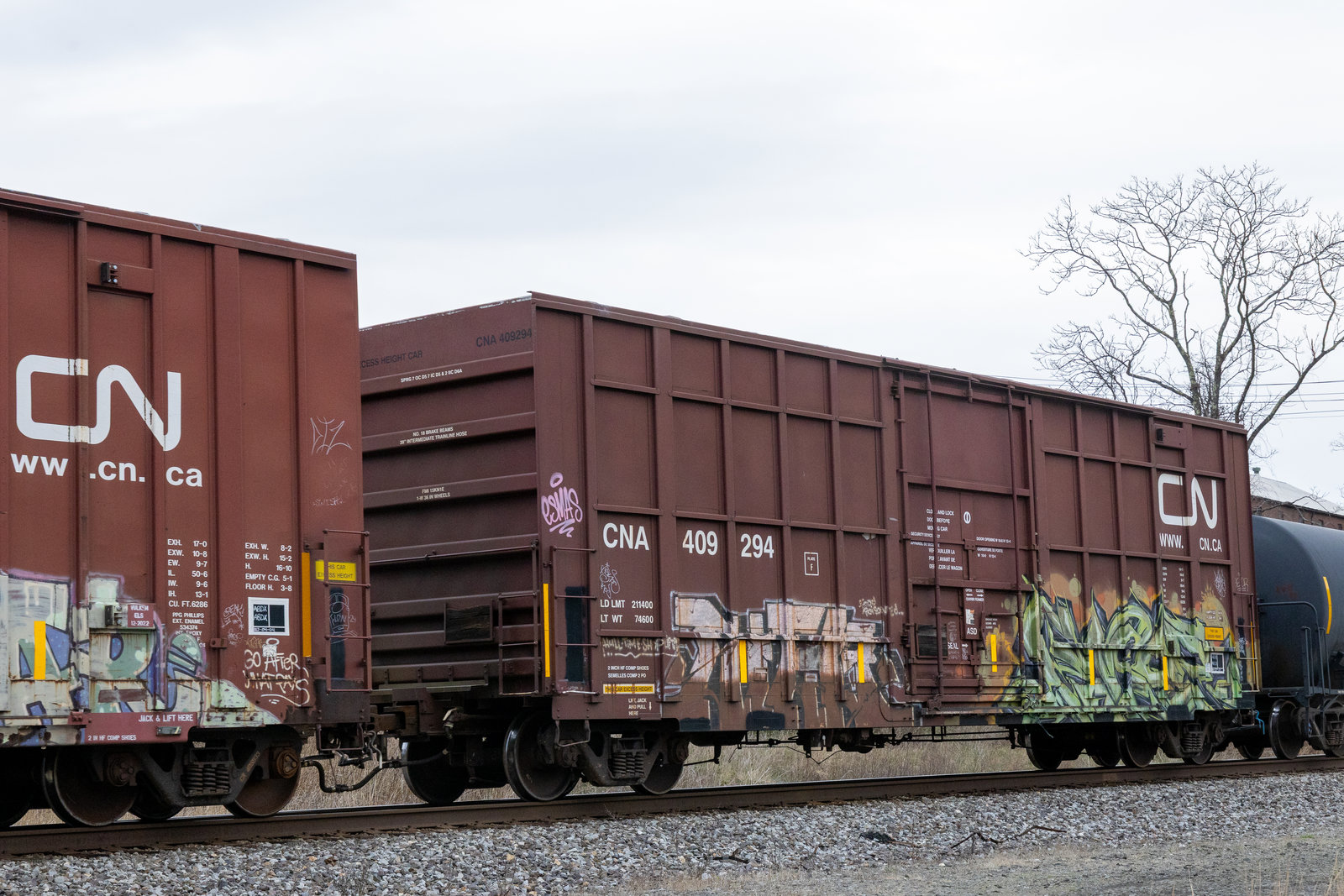 CNA 409294