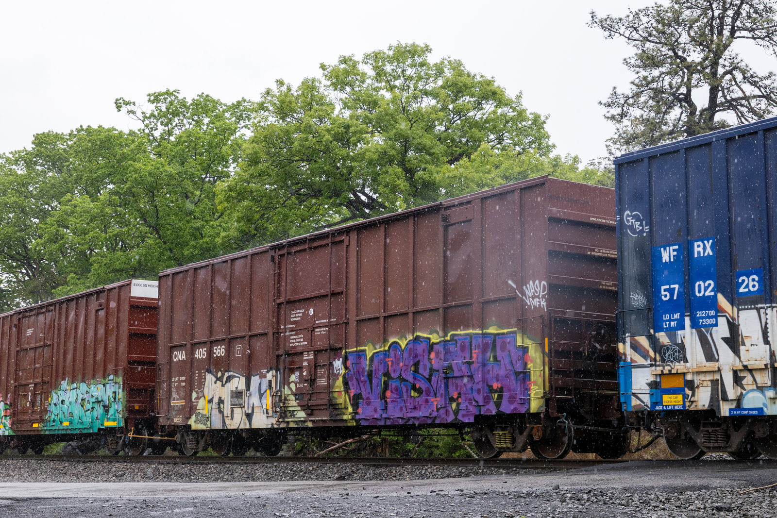 CNA 405566