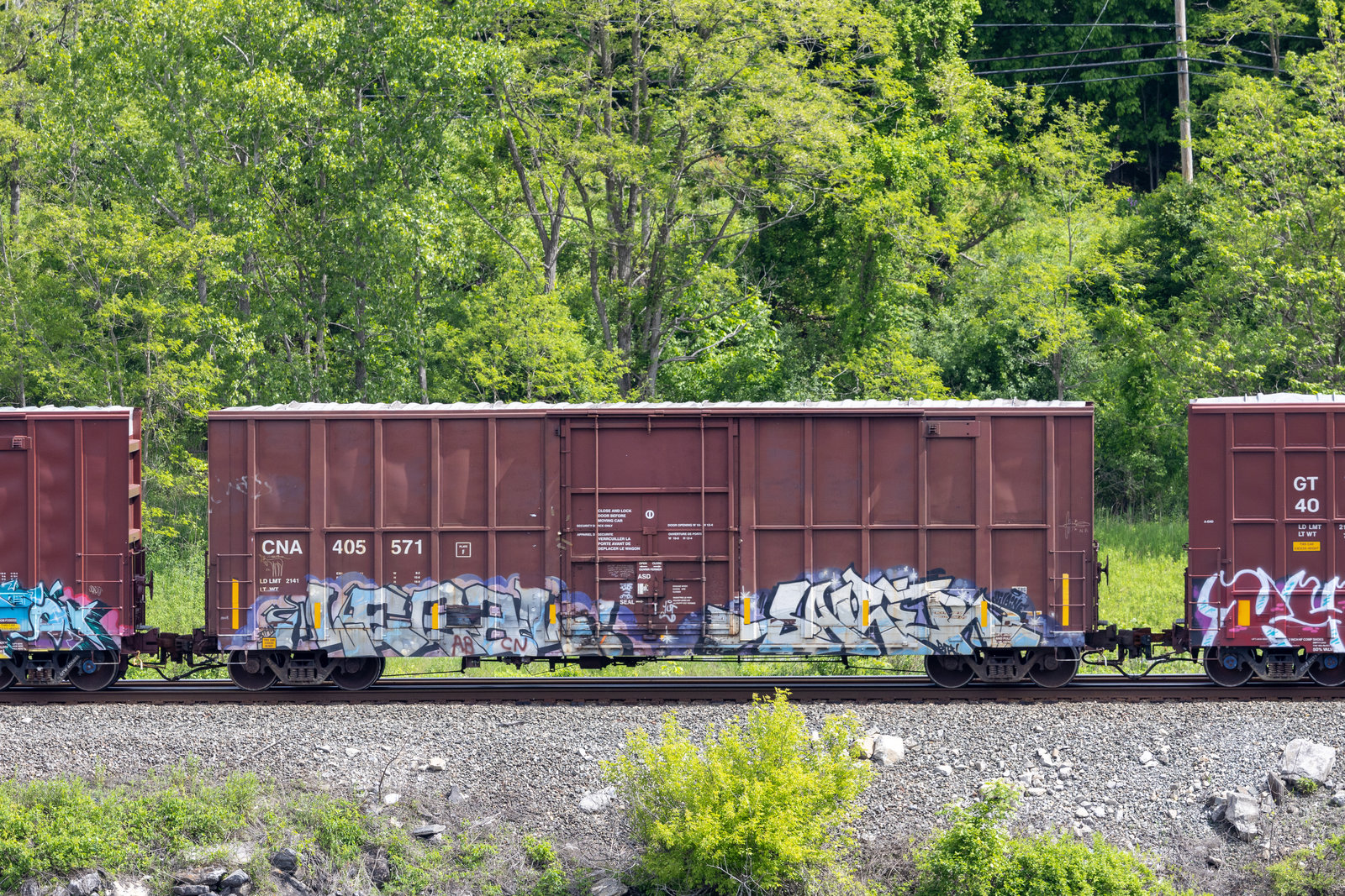 CNA 405571