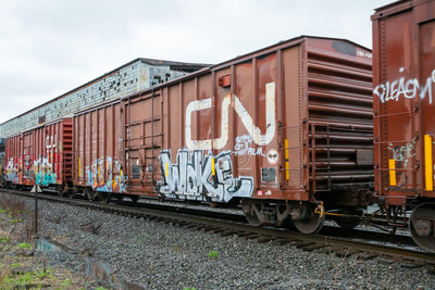 CNA 404439