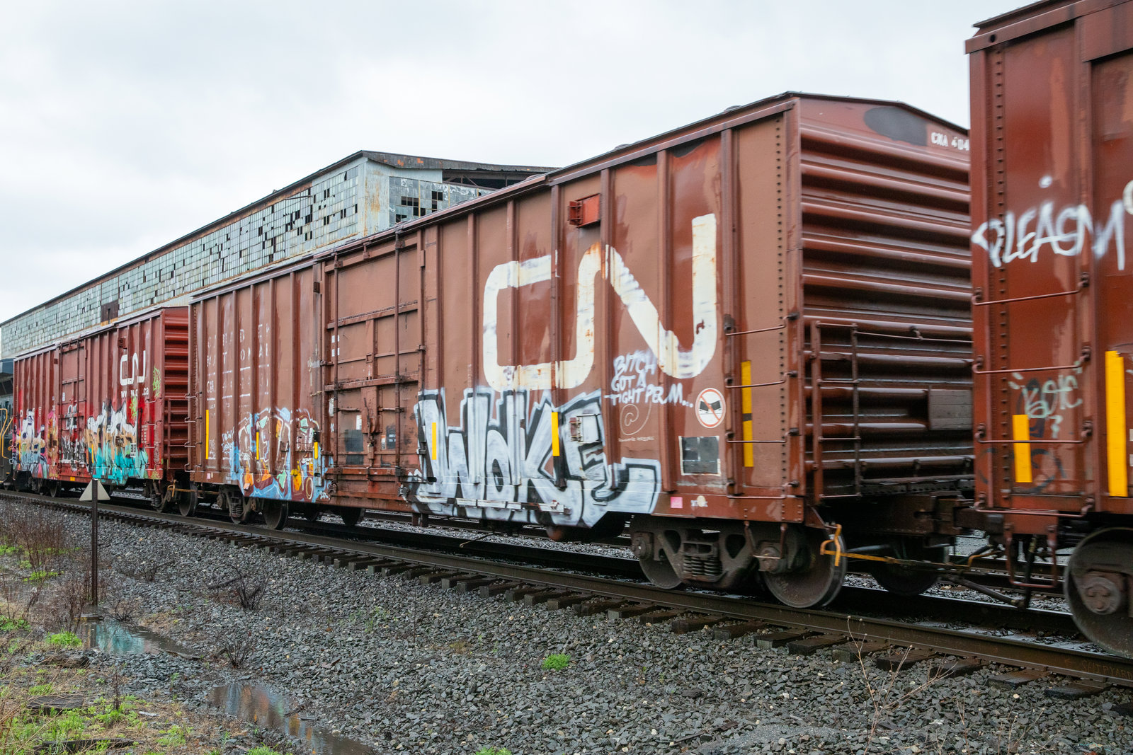 CNA 404439