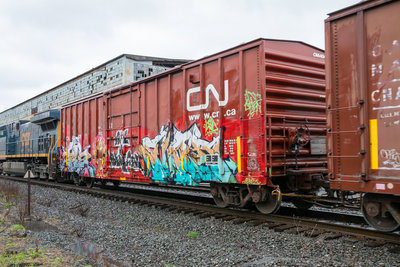 CNA 404476