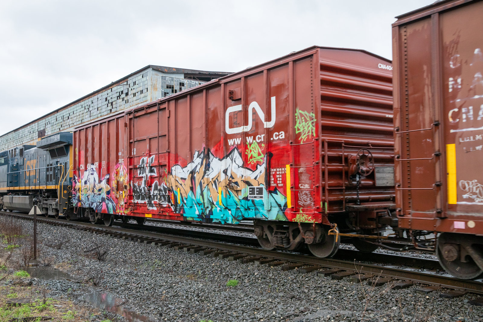 CNA 404476