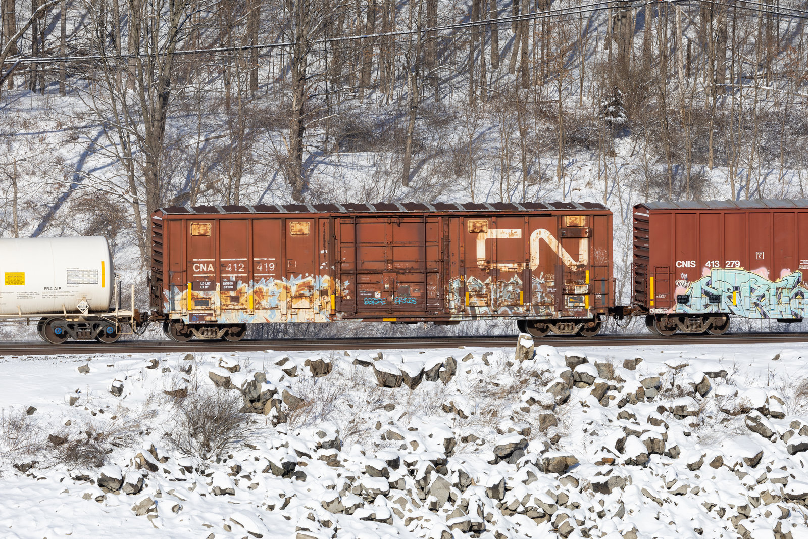 CNA 412419