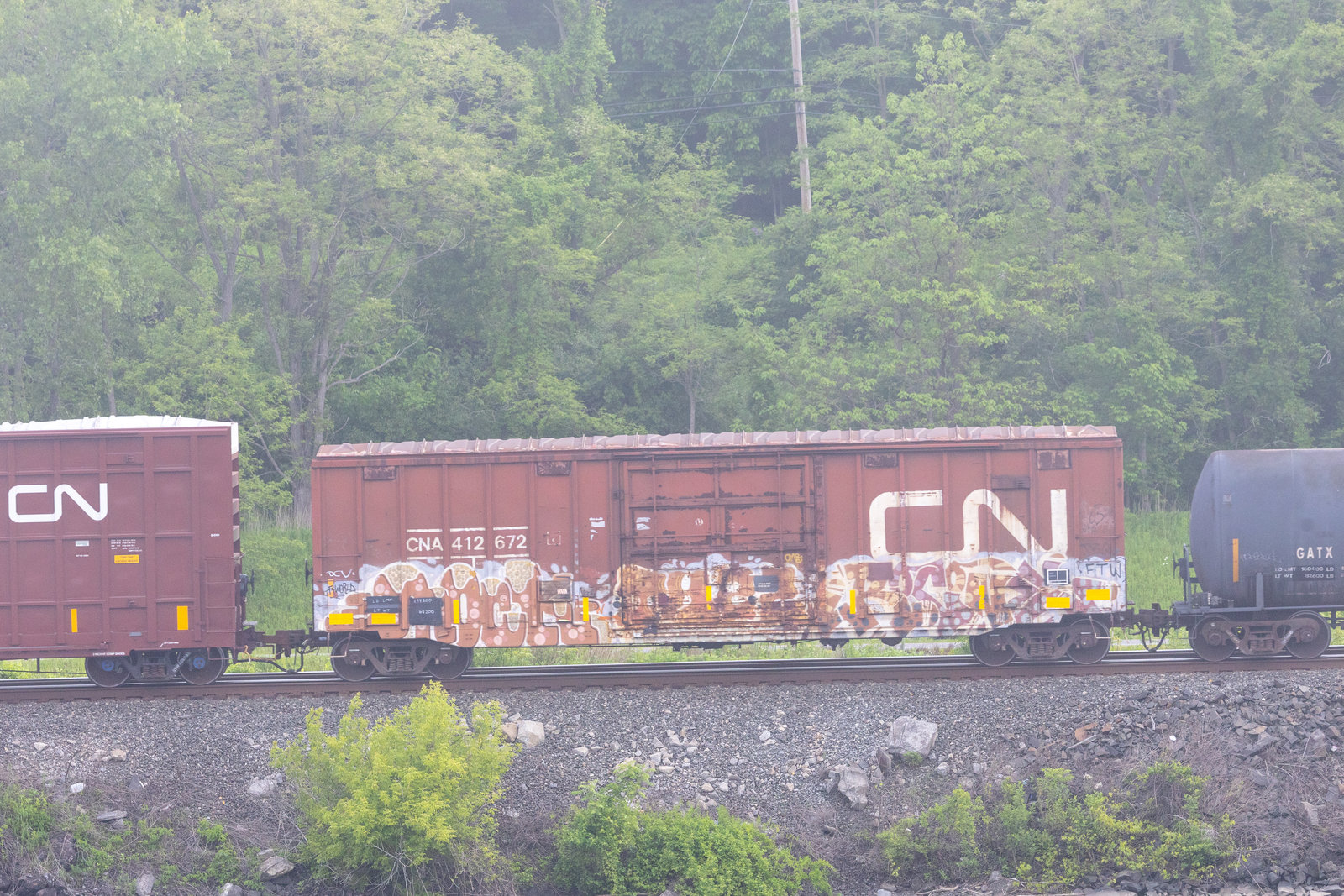 CNA 412672