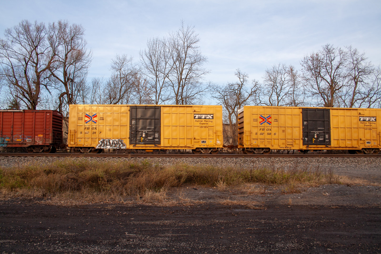 FBOX 502317