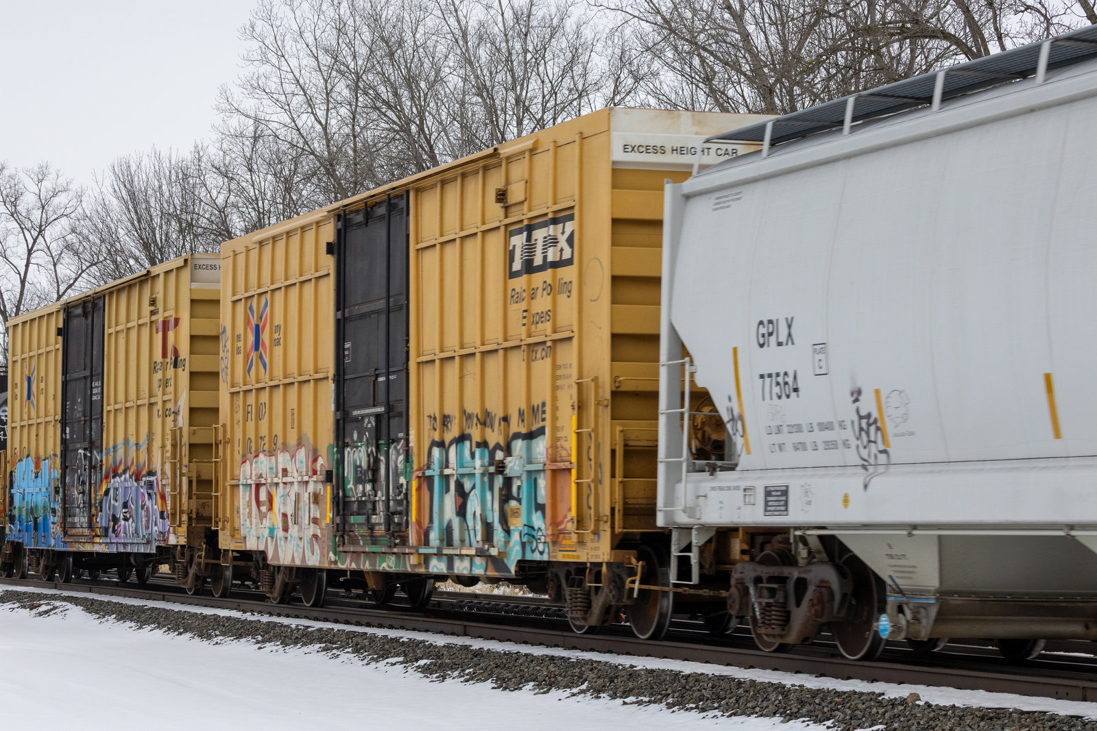FBOX 502729