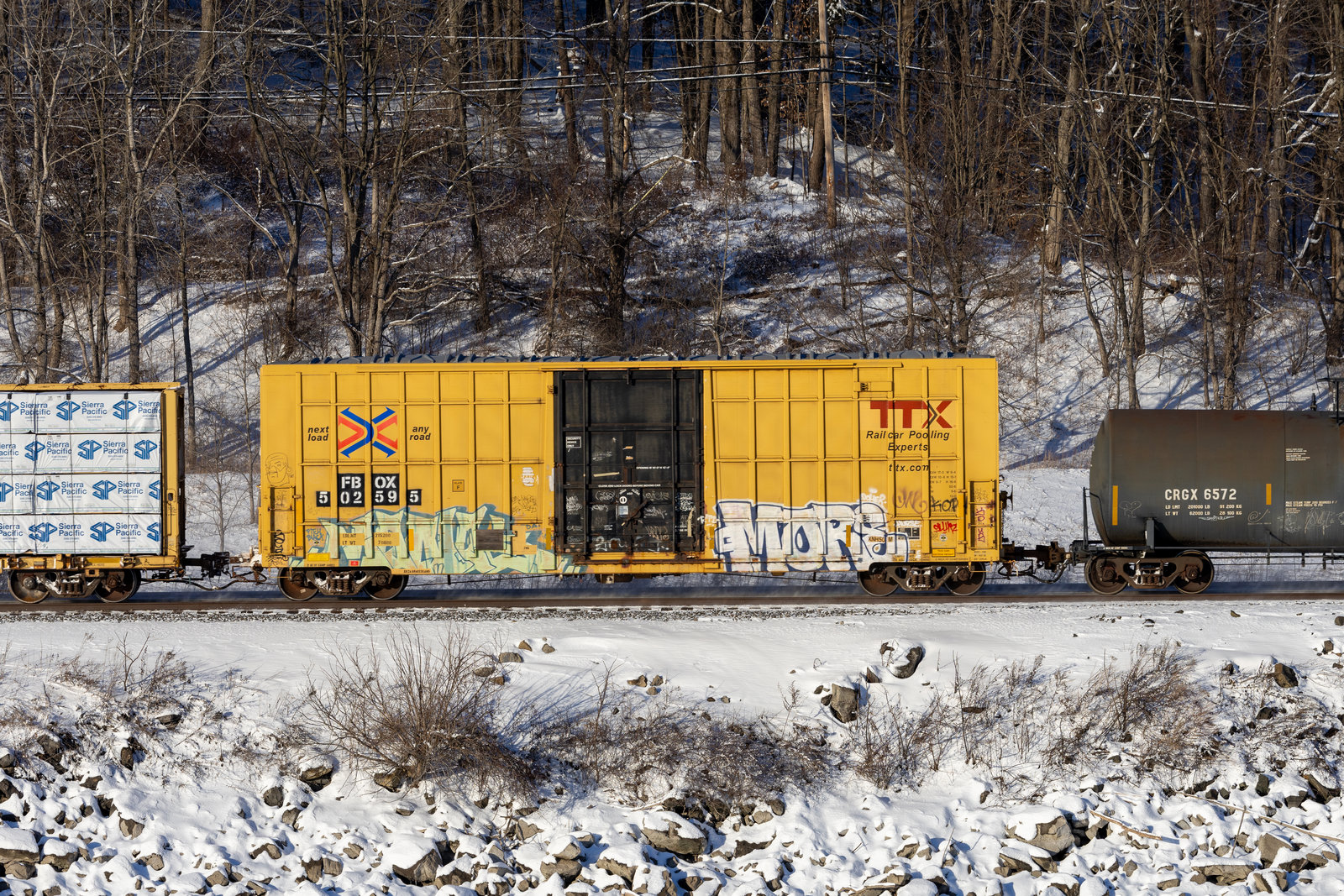 FBOX 502595