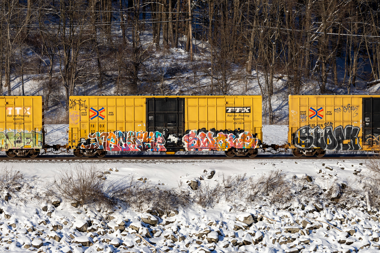 FBOX 502203