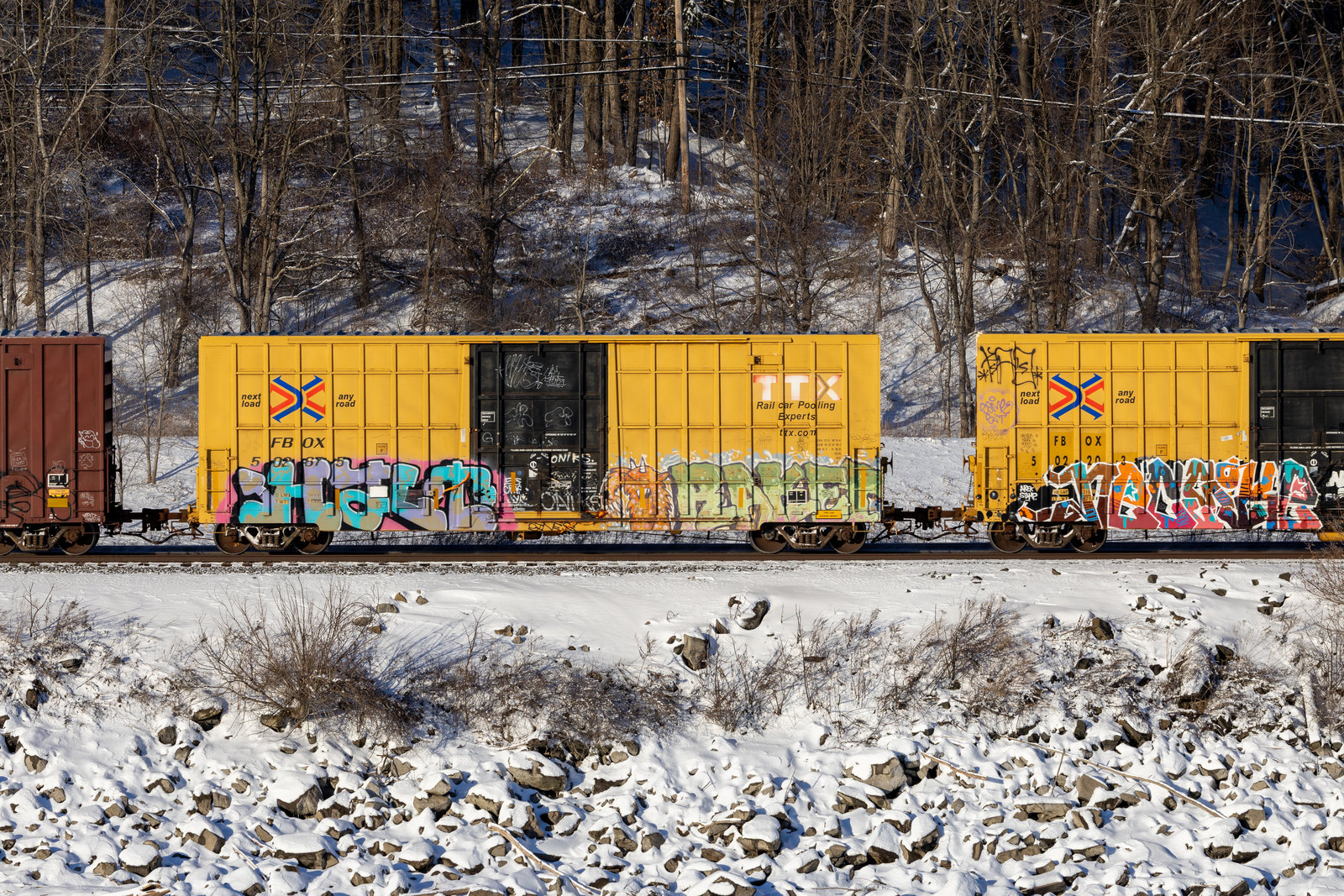 FBOX 502675