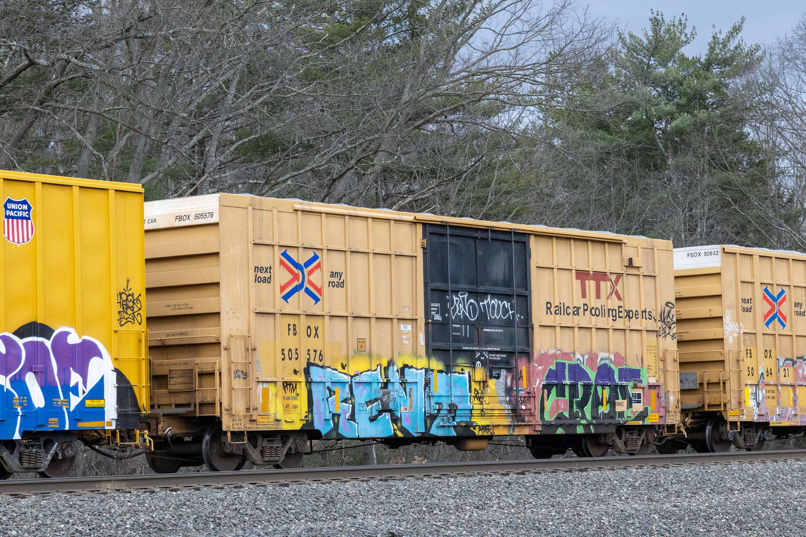 FBOX 505576