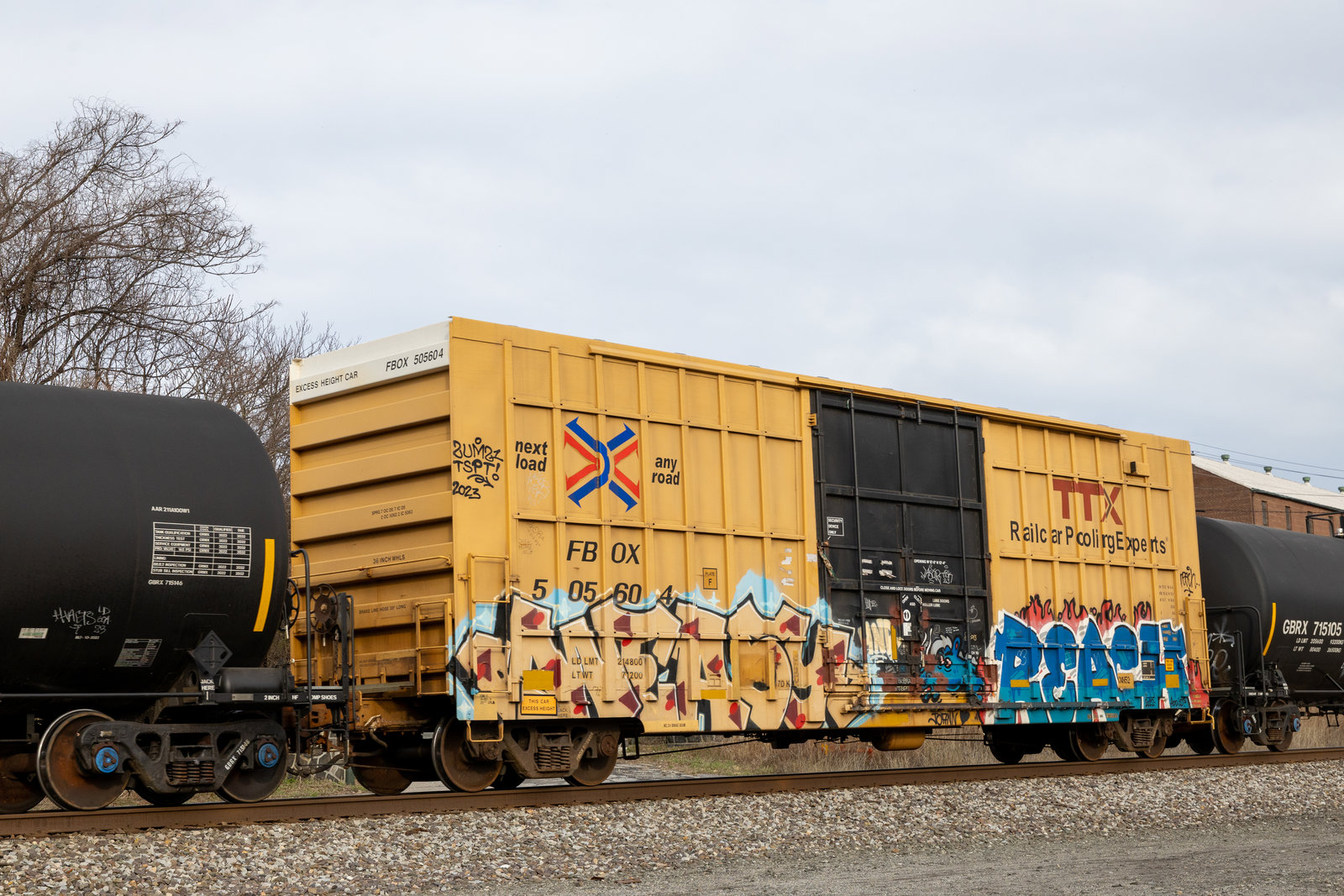 FBOX 505604