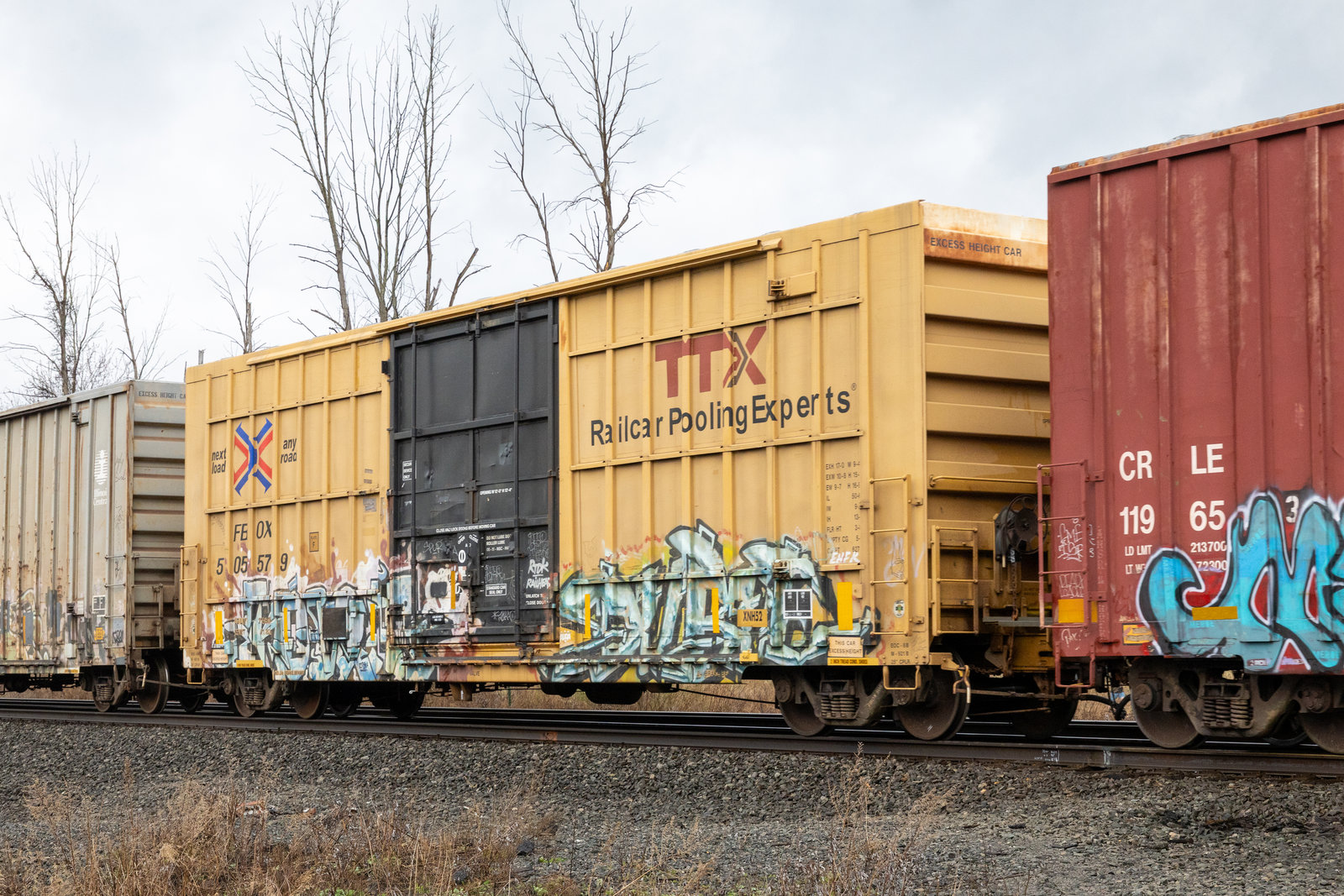 FBOX 505579
