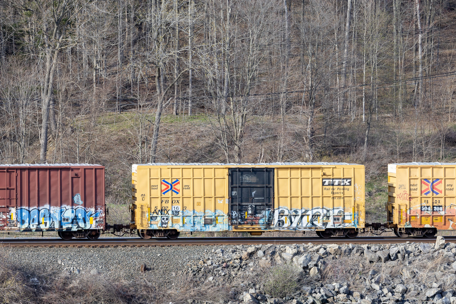 FBOX 502163