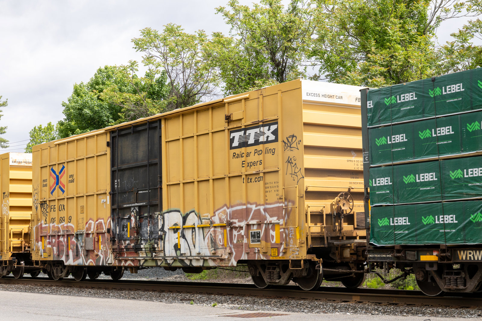 FBOX 502699