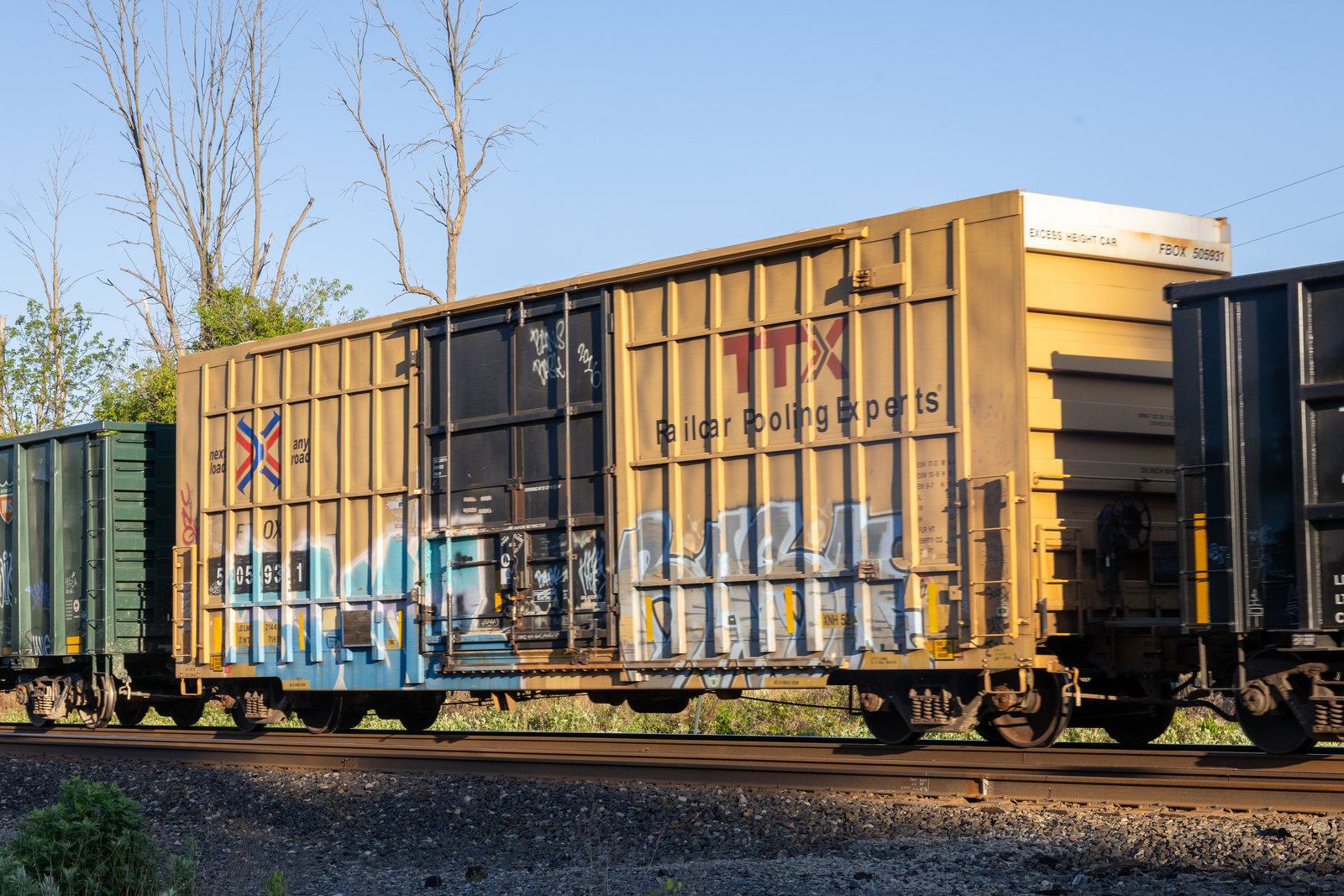 FBOX 505931
