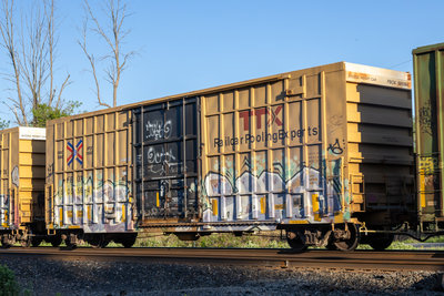 FBOX 505564